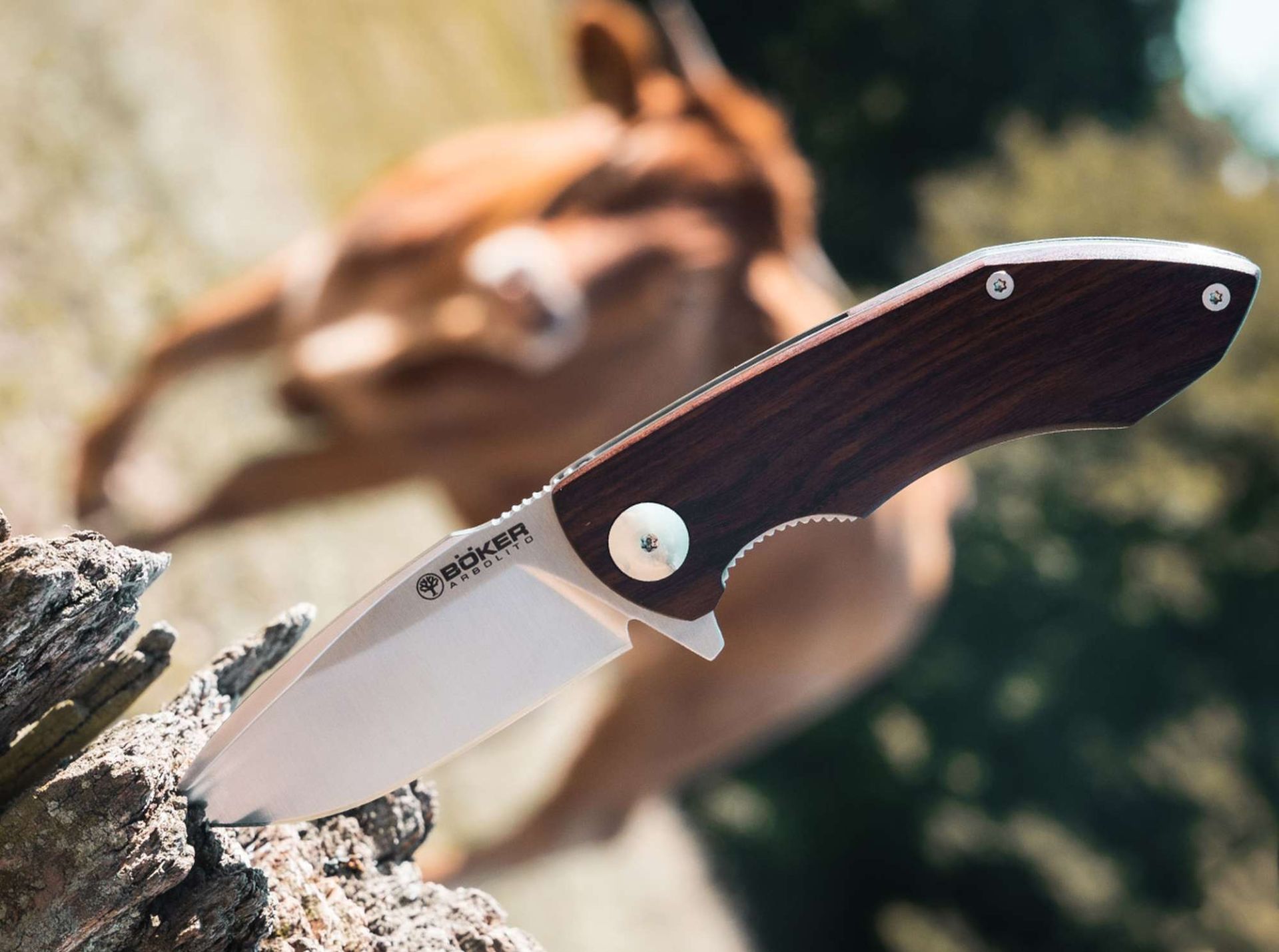 Böker Taschenmesser Arbolito Folder Nahuel Guayacan – Bild 2